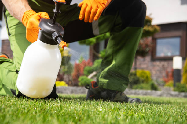 Wasp Removal Services in Fuller Heights, FL