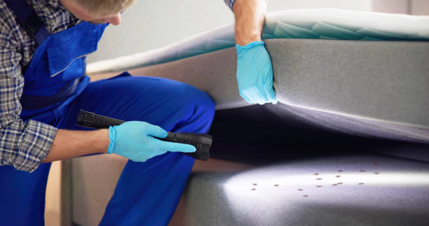 Reliable Fuller Heights, FL Pest Control Solutions